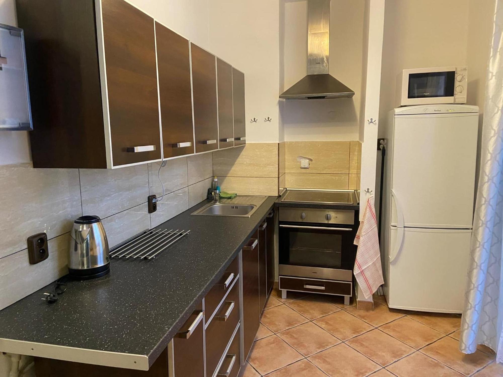 Apartment Orlicke Hory *